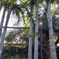 Nursery sourcing yard